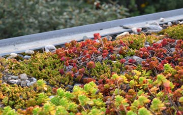 the cost of Stainby green roof installation
