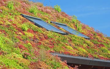 Stainby living roof systems
